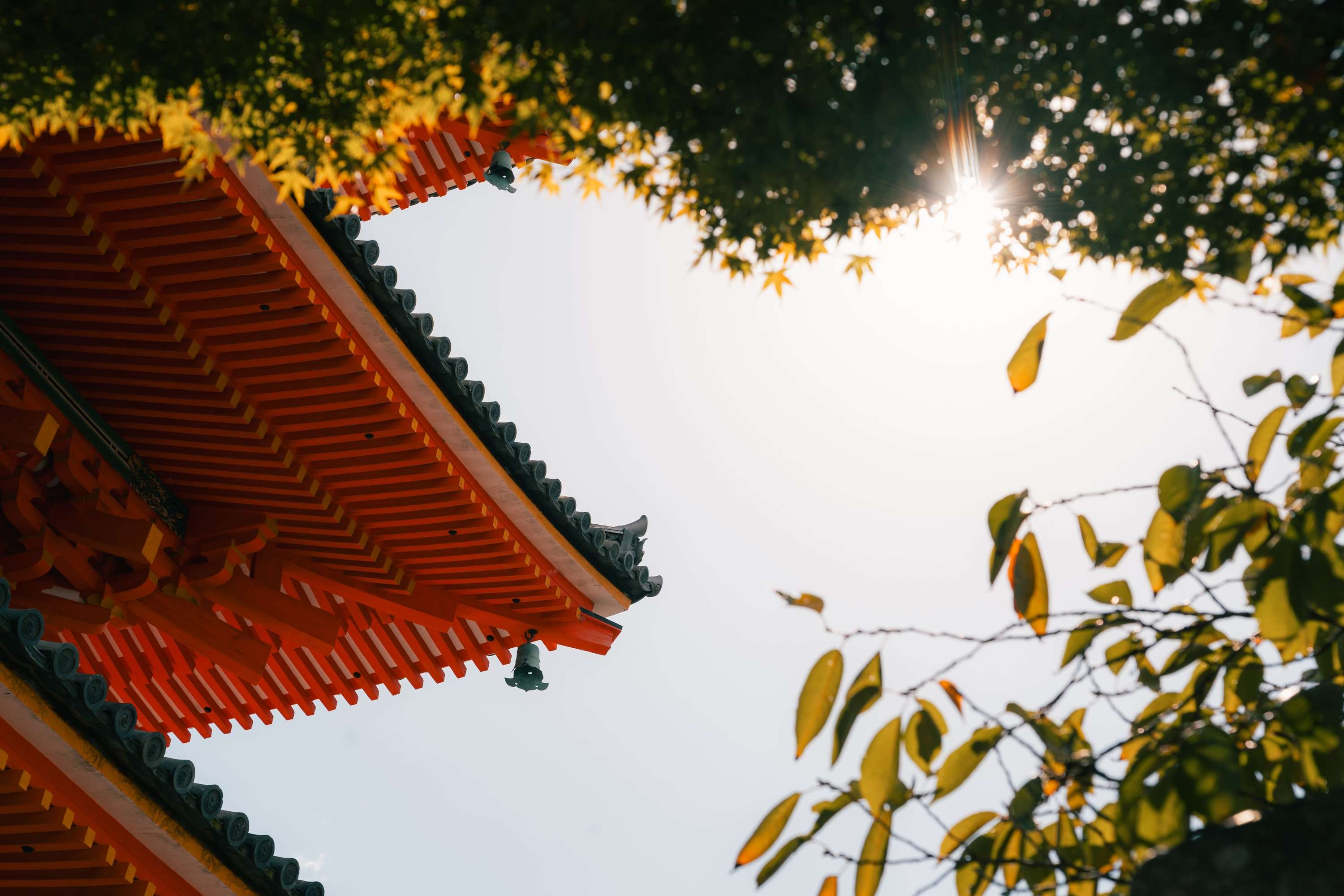The corner of a vermilion pagoda roof with a small bell at its tip, against a white sky, with the sun shining through leaves at the top of the frame.