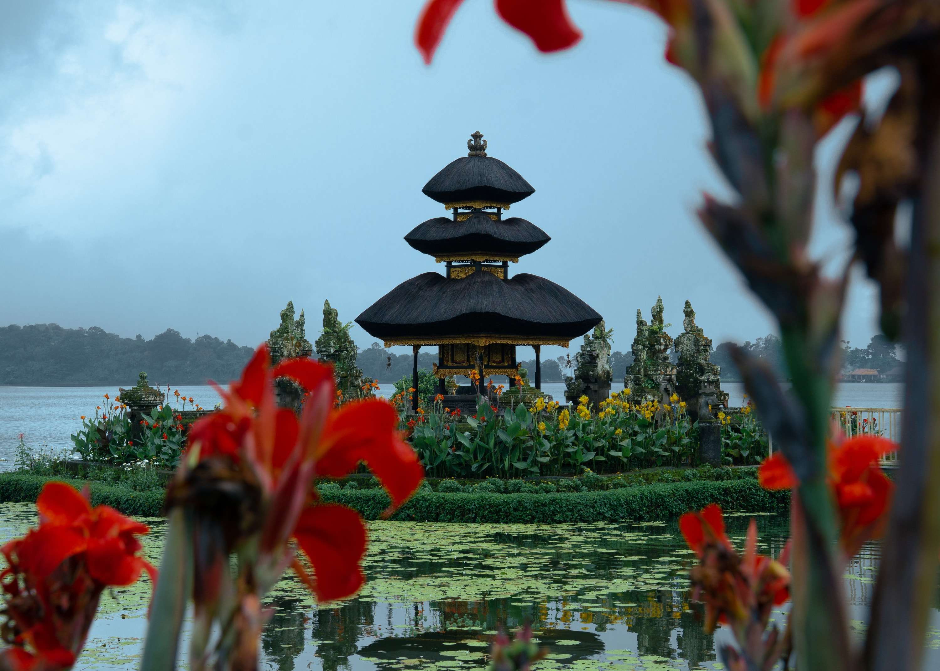 The black thatched tiers of the Ulun Danu Beratan shrine on Lake Beratan, framed by out-of-focus red canna flowers in the foreground.