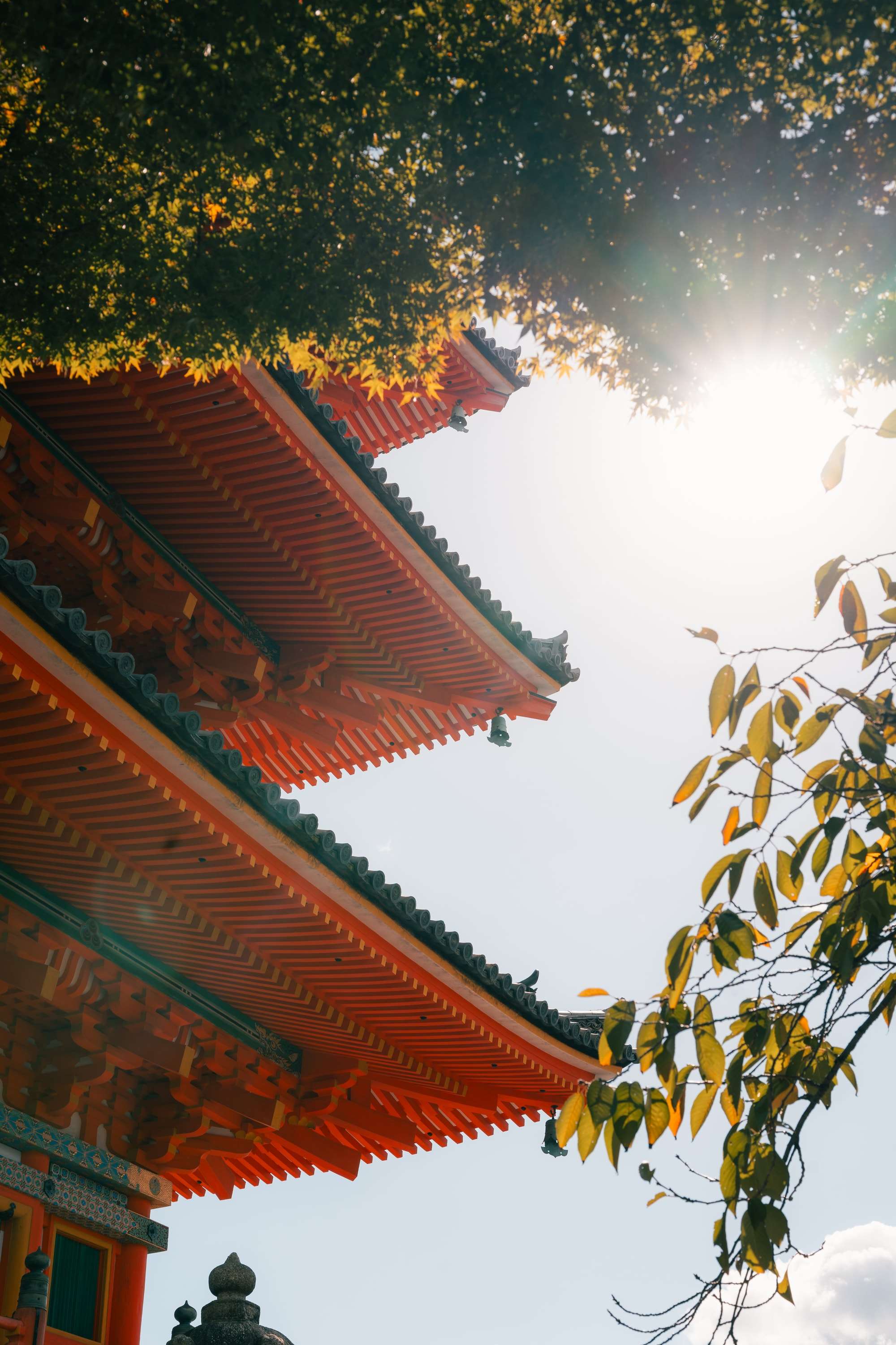 Looking up at the vermilion tiers of the Kiyomizu-dera pagoda from beneath a tree, the sun flaring through the leaves.