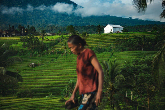 Photography of Ubub Rice fields in Bali with a local person