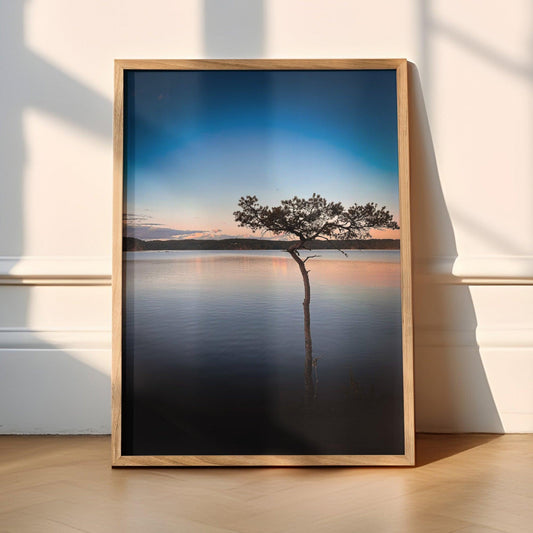 Peaceful sunset over a Swedish lake, with glowing reflections and surrounding natural beauty, captured in a detailed photography poster for modern decor.